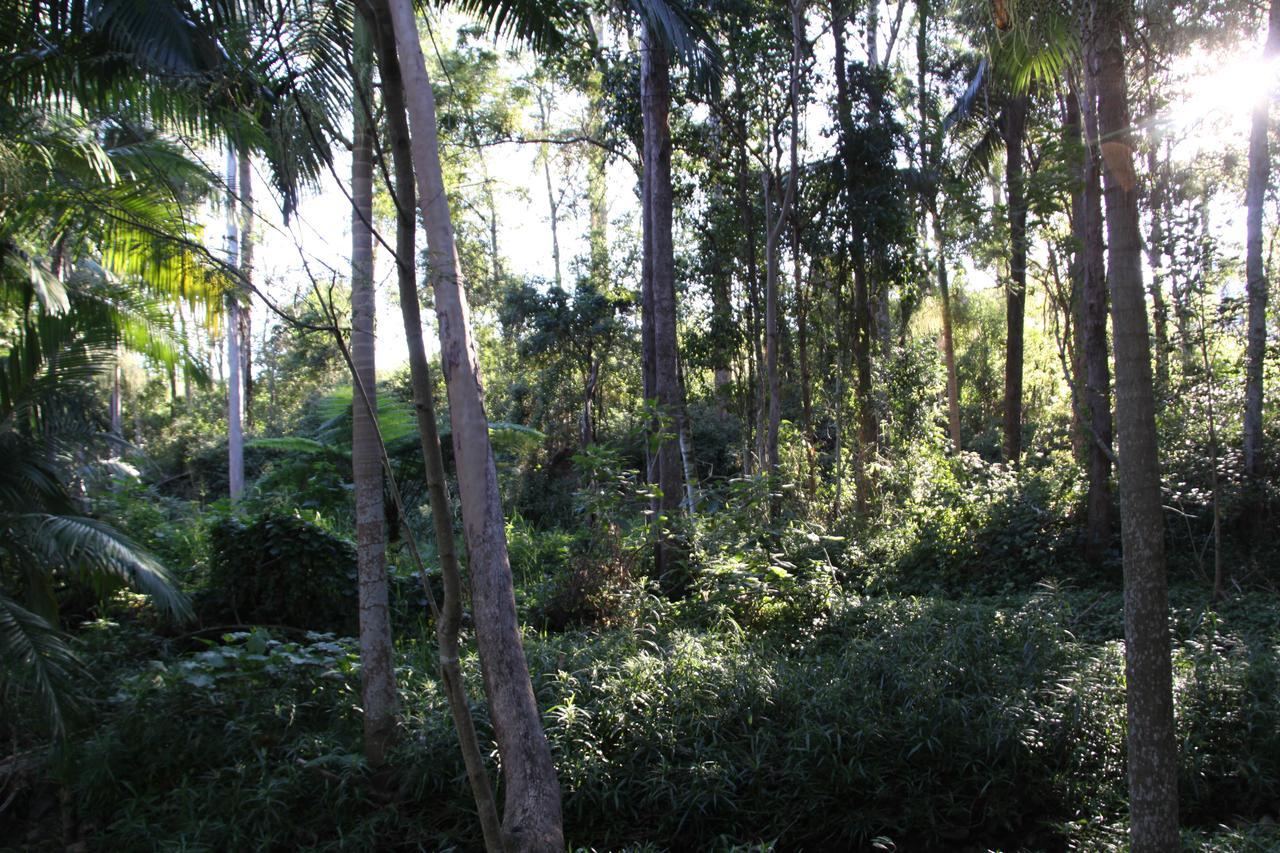 Paperbark Bed & Breakfast Brisbane Dış mekan fotoğraf